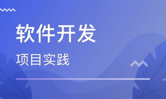 鄭州科技市場(chǎng)軟件開(kāi)發(fā)培訓(xùn)班市場(chǎng)調(diào)研與排名分析