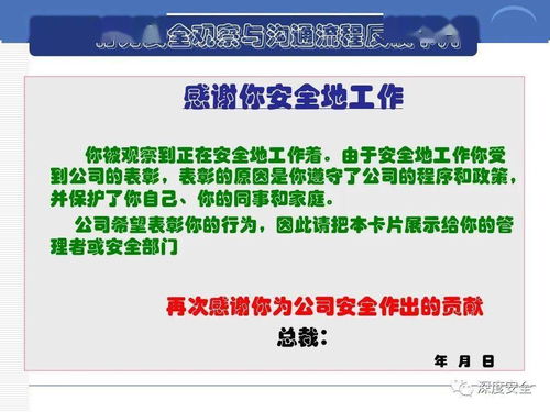精品PPT分享 跨國公司安全管理文化在本鋼材市場的應用
